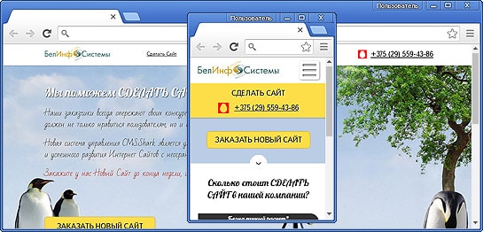 Веб Сайт (мобильное приложение) Веб Сайт (мобильное приложение)